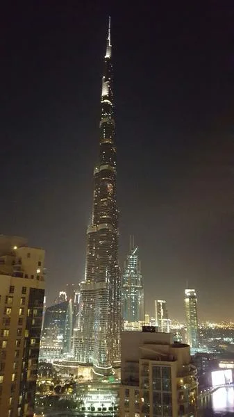 Superbe villa lumineuse, avec piscine dans un des plus beaux quartiers résidentiel de Dubai – Villa Dubai (10/30)