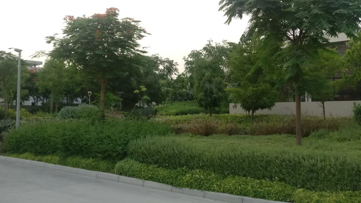 Grande Villa de luxe 5 chambres avec jardin et piscine – Villa Dubai (19/20)