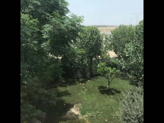 Villa à vendre 5 pièces avec jardin 356 m2 – Villa Dubai (7/18)
