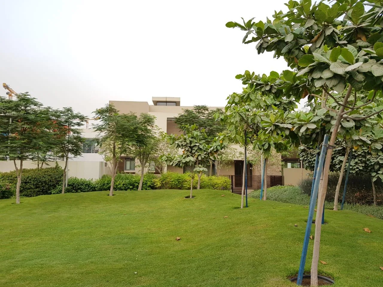 Grande Villa de luxe 5 chambres avec jardin et piscine – Villa Dubai (18/20)