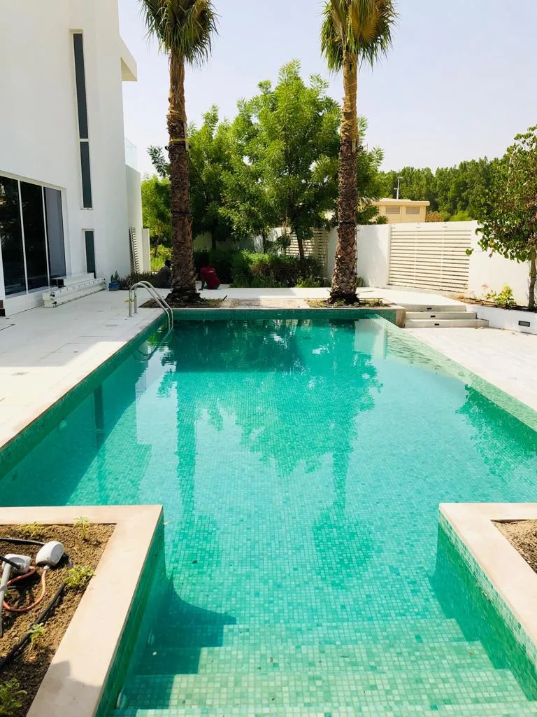 Villa contemporaine 5 chambres à vendre. Villa Dubai (3/30)