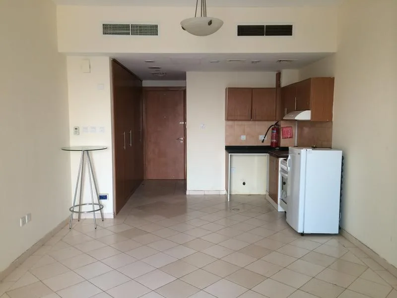 main2-1590744925497 Superbe studio à la vente à petit prix avec vue sur le lac – Appartement Dubai (2/8)