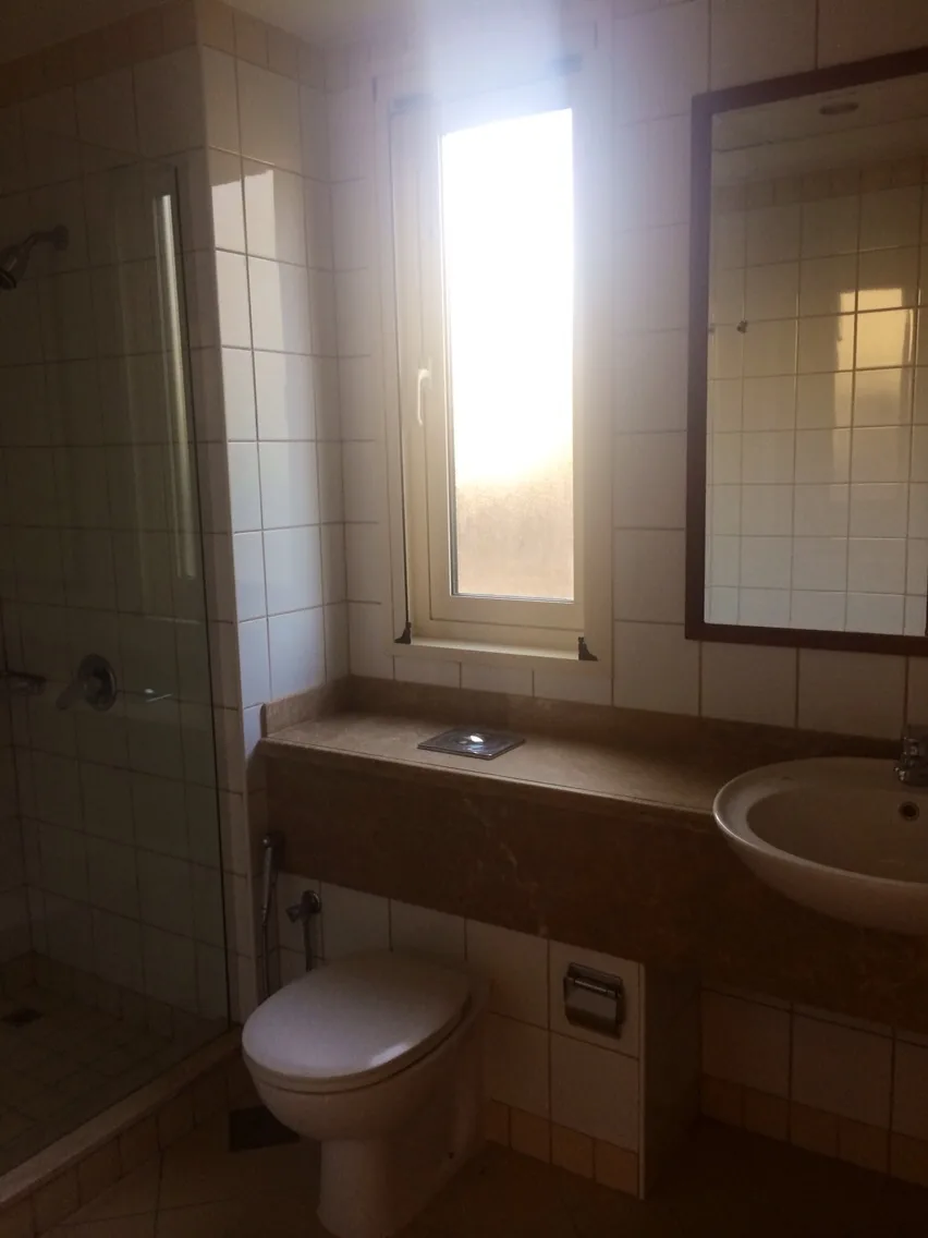 Superbe et immense villa en vente à Dubai – Villa Dubai (5/10)
