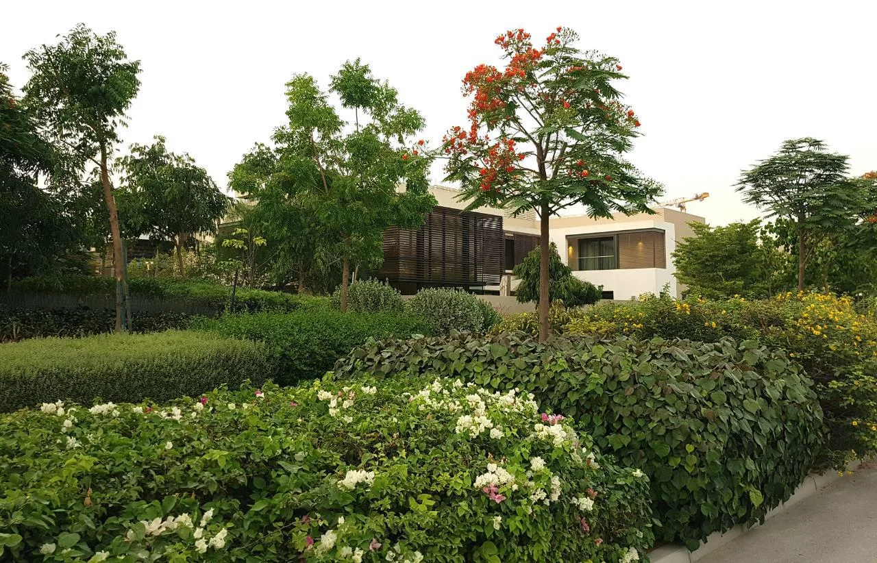 Grande Villa de luxe 5 chambres avec jardin et piscine – Villa Dubai (16/20)